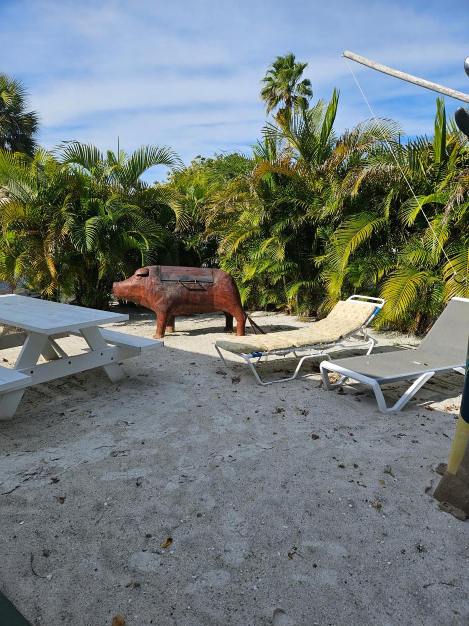 Oasis Palms Resort St. Pete Beach Exterior foto